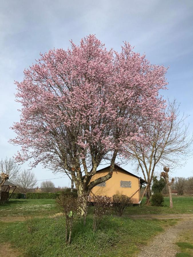 Le Mondou Saint-Julien-de-Lampon Dış mekan fotoğraf